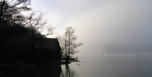 Misty morning at Millerground