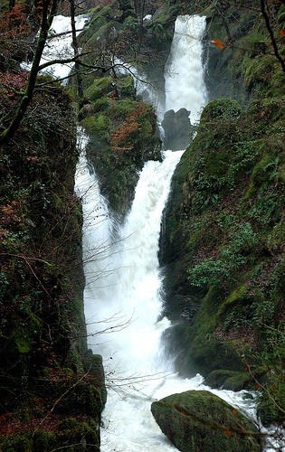 Stock Ghyll Force